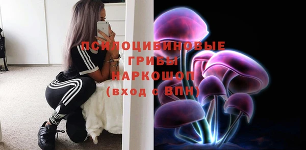 Альфа ПВП Зеленокумск