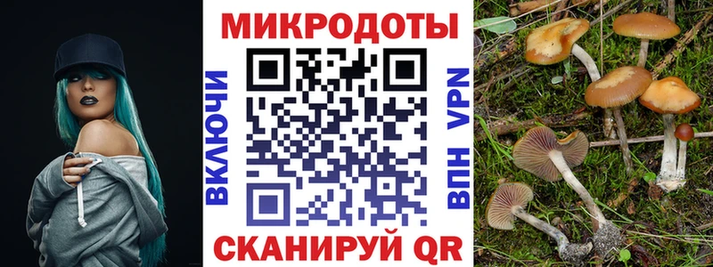 Купить  Новомичуринск  Псилоцибиновые грибы MAGIC MUSHROOMS 