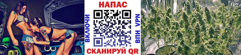 Купить закладки  Новомичуринск  Каннабис AK-47 